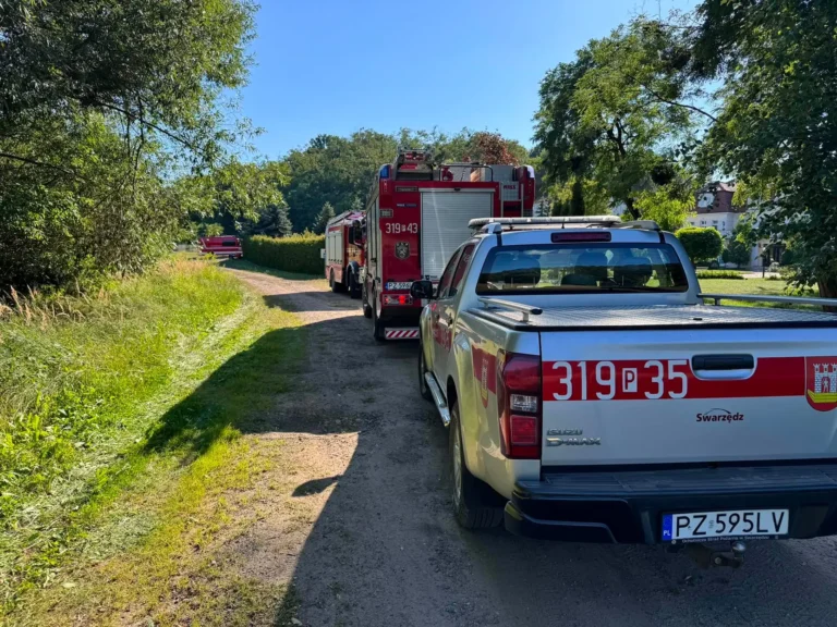 Uwięzieni na bagnach w Dolinie Cybiny!