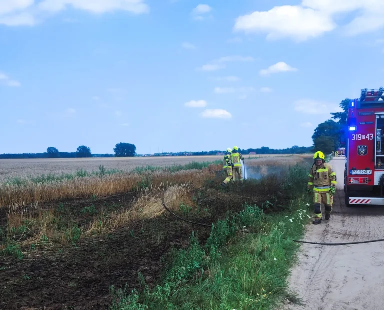 Uratowali 10 hektarów zboża! Akcja strażaków w Uzarzewie!