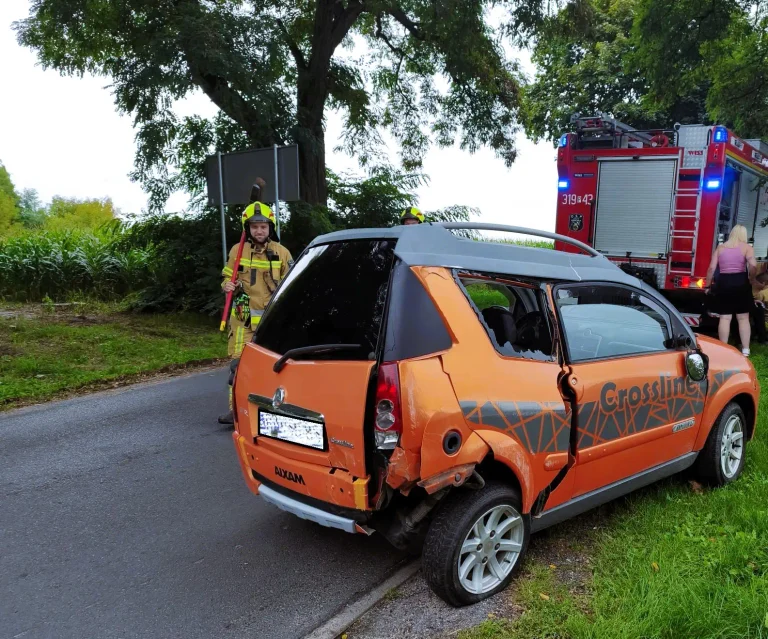 Zderzenie osobówek koło Uzarzewa