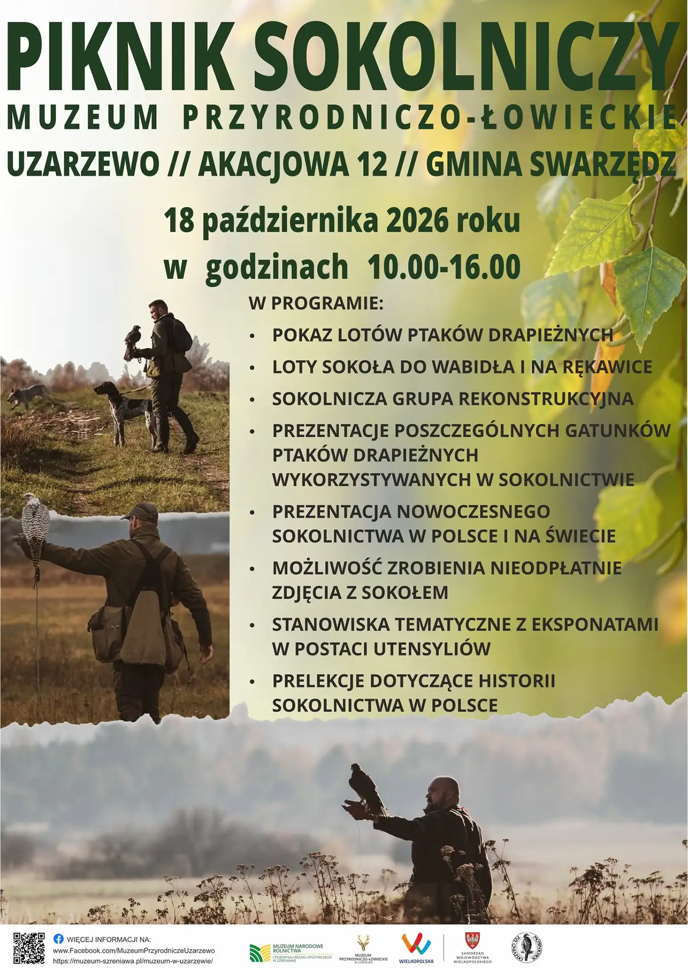 Niedziela z sokolami 2 Tygodnik i Portal Swarzedzki
