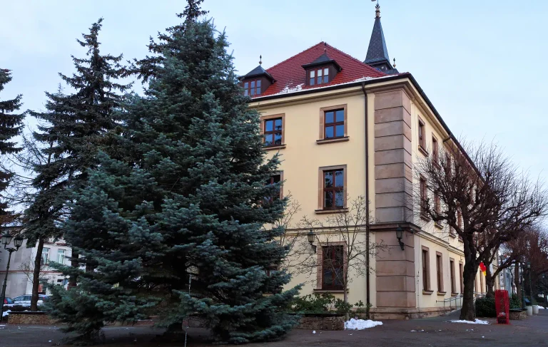 Swarzędz: twoja choinka świątecznym drzewkiem na swarzędzkim Rynku?