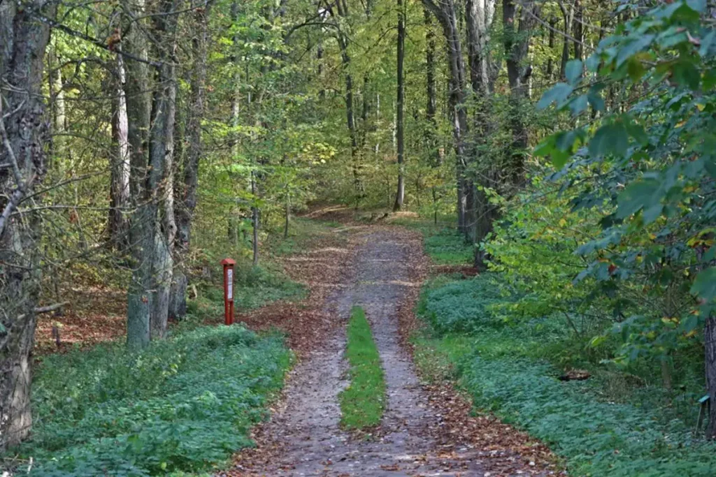 sciezka 2 Tygodnik i Portal Swarzedzki