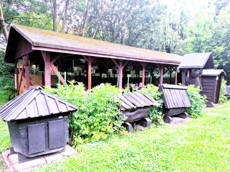 Swarzędz: Skansen zaprasza seniorów na weekend z kulturą!